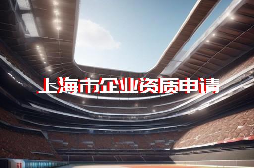 电力工程总承包三级以上资质